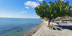 A coastal promenade with a clear view of the sea, a tree-lined sidewalk, and a bench. - Hotel Delfini – Seaside Twin Room, Menidi (Menidi)