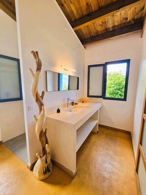 Shower, hair dryer - La Case Bleue (Les Avirons)