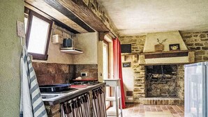 Eine rustikale Küche mit Steinwand, Kamin, Fenster und einem modernen Kühlschrank.