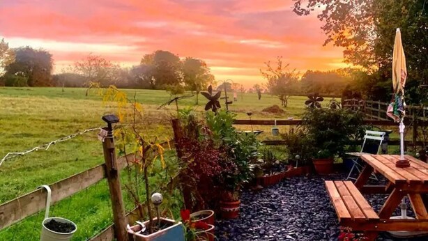 Eine Terrassengruppe im Freien mit einem Holztisch und -stühlen, umgeben von Blumentöpfen und einem Garten.