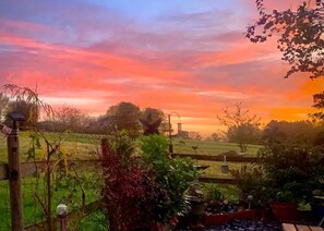 Property grounds - Quaint & Cosy Cottage in Snitterfield, close to historic Stratford-Upon-Avon (Snitterfield)