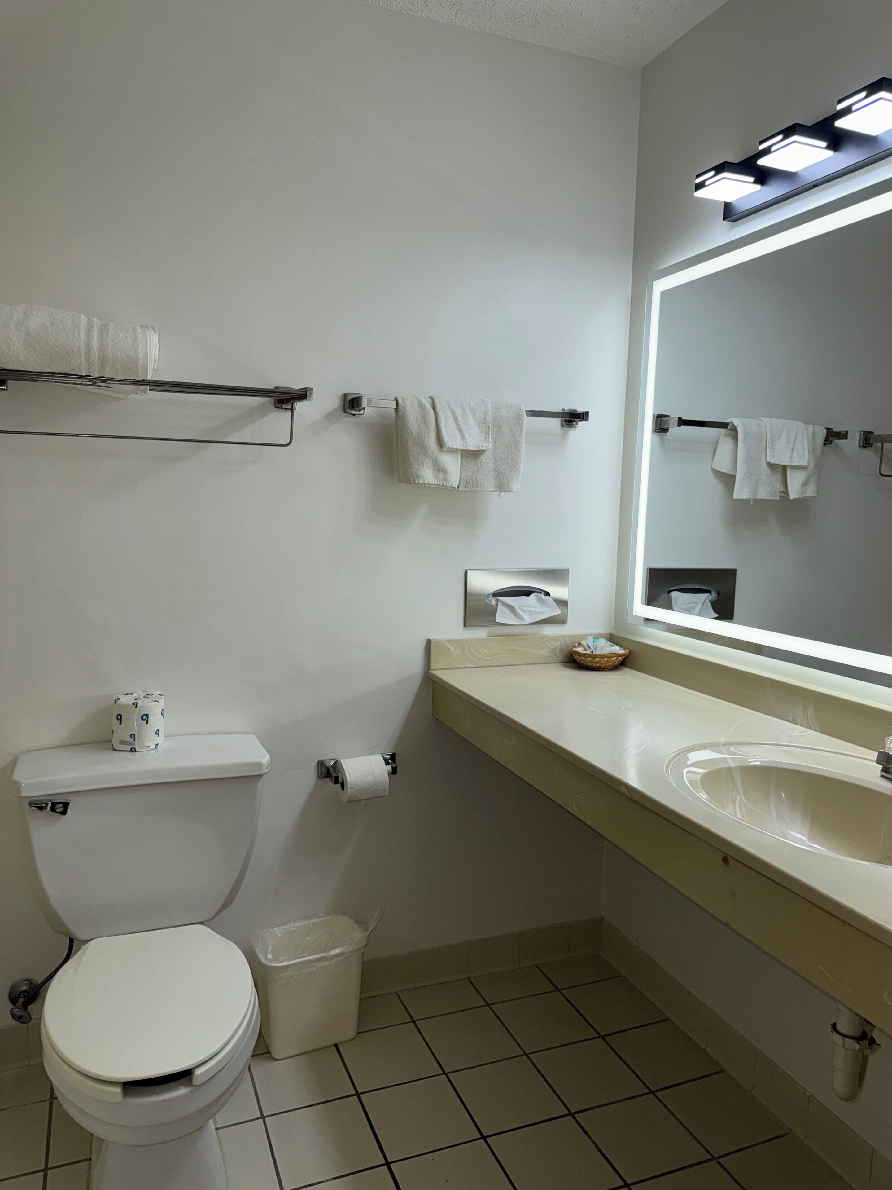Une salle de bain équipée de toilettes, d’un lavabo, d’un miroir et de porte-serviettes.