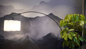 A room with a wall mural of mountains, a modern floor lamp, and a potted plant.