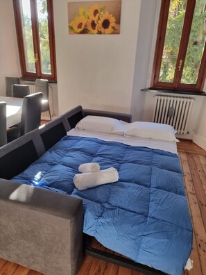 Iron/ironing board, WiFi, bed sheets - Sunflower apartment (Domaso)