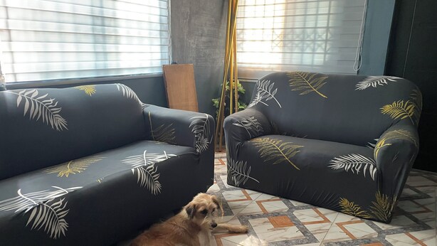 A room with two sofas featuring leaf patterns, a dog lying on the floor, and a window with blinds.