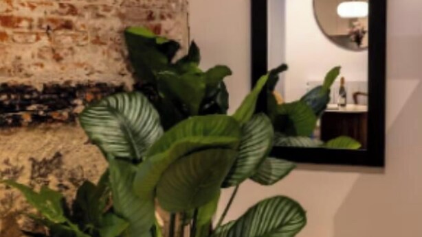 A room with a brick wall, a large mirror, and potted plants. - Luxury Renovated 3-Bedroom Apartment in the Heart of Madrid (Madrid)