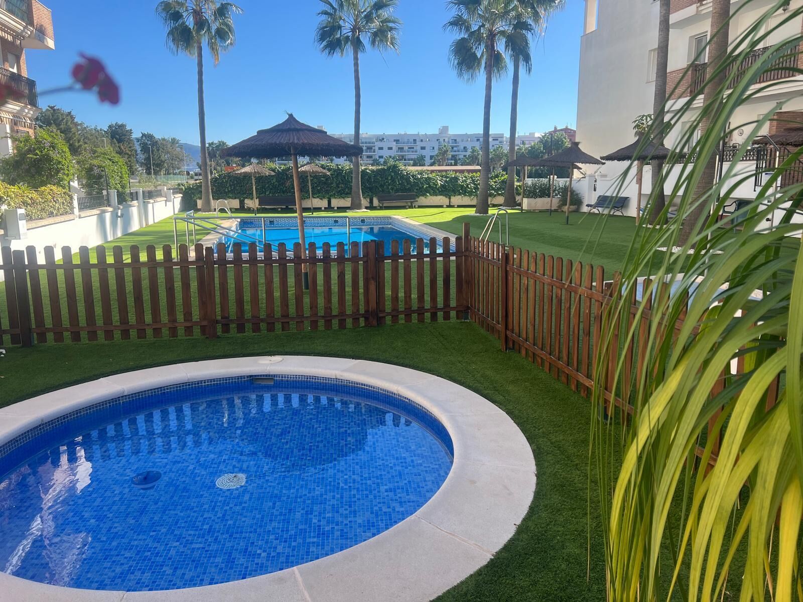 Une piscine entourée d’une clôture en bois, de palmiers et d’une pelouse.