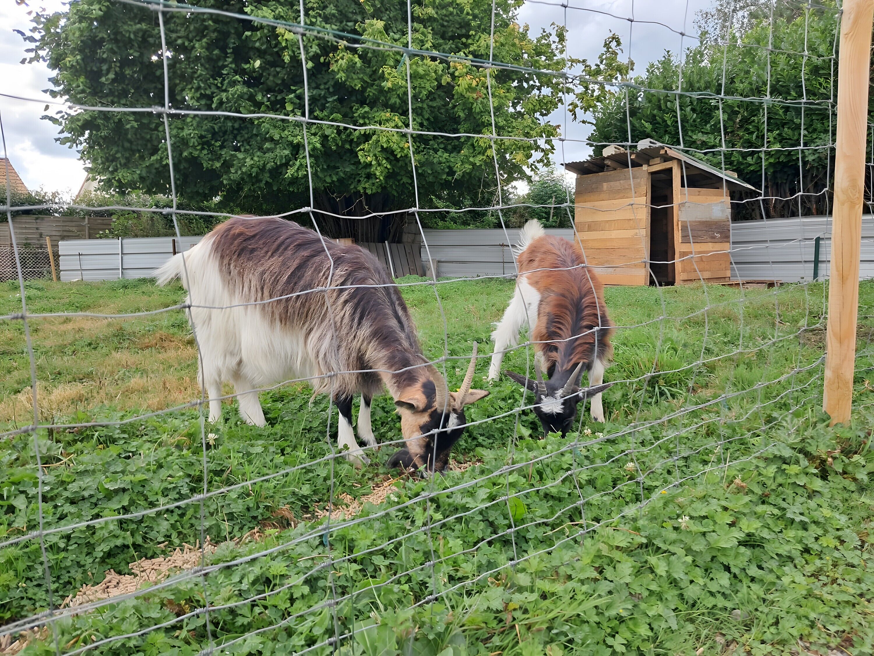 Parco della struttura