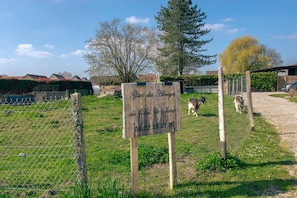Jardines del alojamiento