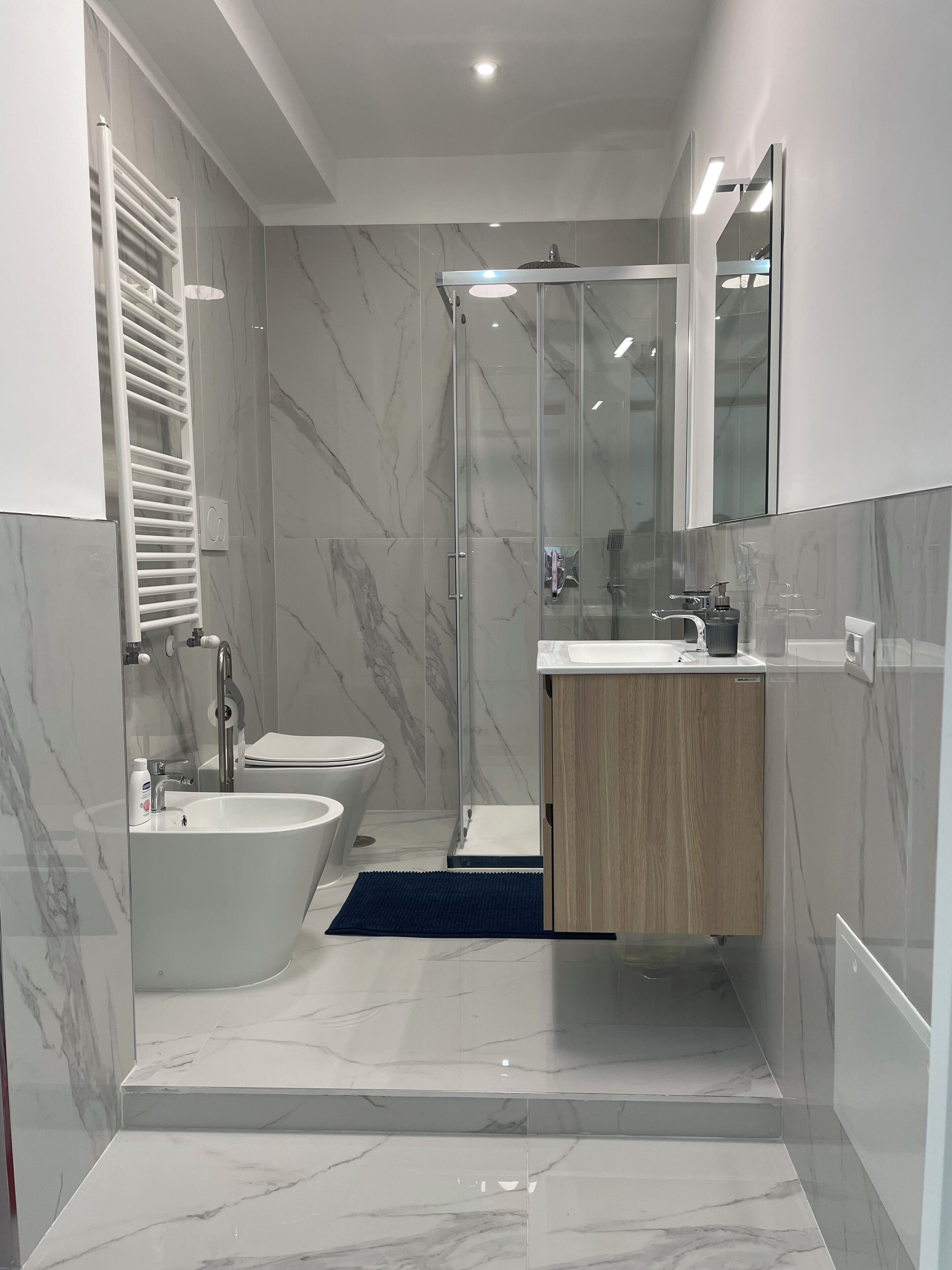 Hair dryer, bidet, towels, soap