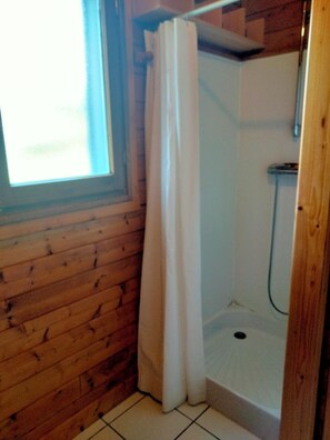 Toallas y papel de baño