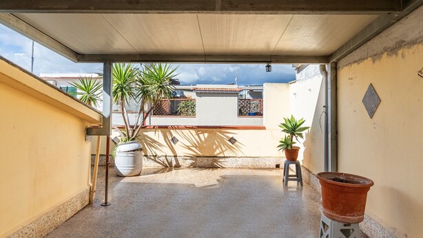 Un espacio exterior techado con plantas en macetas, piso de concreto y vista de edificios cercanos.