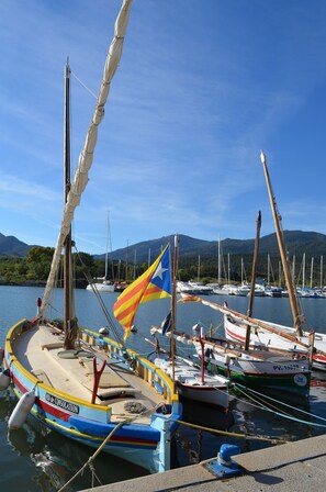 Marina - Gite Magdalena, vue sur les albères (Argelès-sur-Mer)