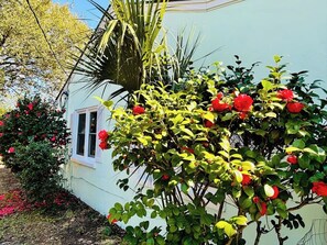 Exterior detail - Seahorse Villa.3 Bedroom House. (Myrtle Beach)