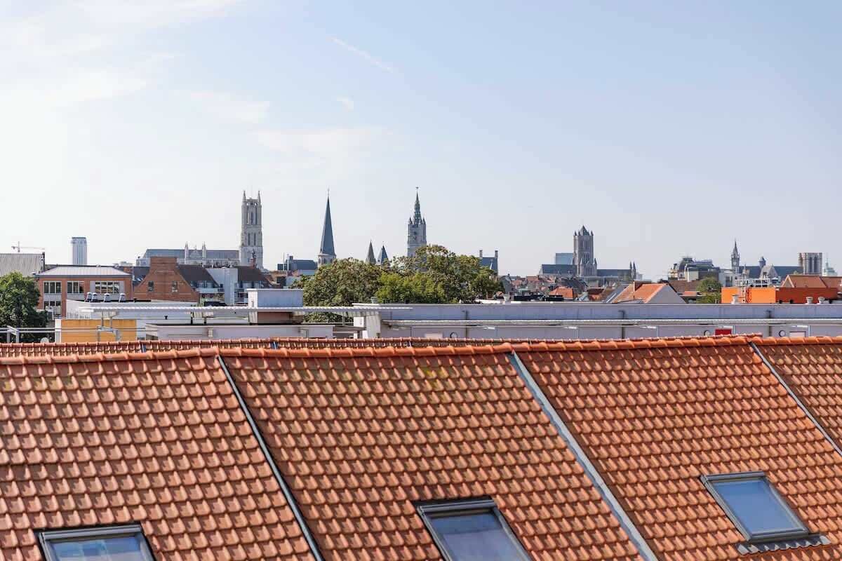 A cityscape with a prominent church spire, a variety of building styles, and a tiled roof.