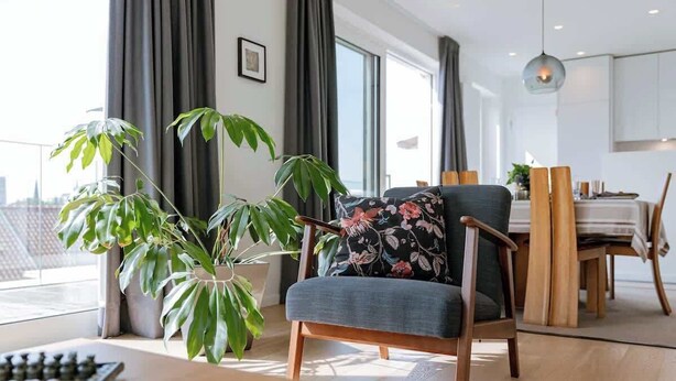 Un salon moderne agrémenté d’une grande plante, d’un jeu d ’échecs et d’un coin repas avec des chaises et une table en bois.