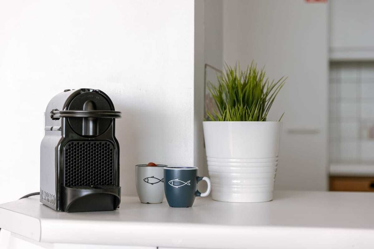 A kitchen counter with a coffee maker, two mugs, and a potted plant.