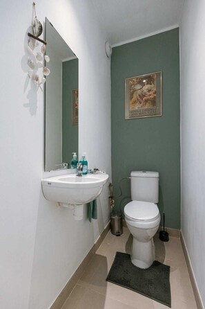 Regadera, secadora de cabello, shampoo 