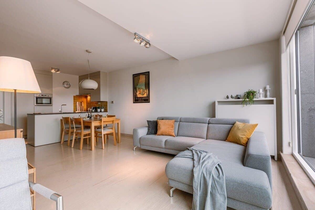 Spacious open-plan lounge with warm wood accents and daylight streaming in.