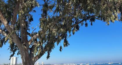 Luxury apartment on golf resort with private plunge pool