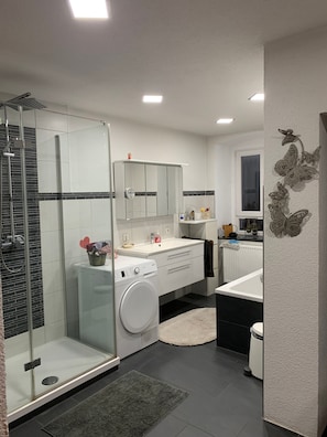 Shower, hair dryer, towels