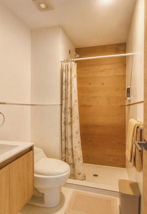 Shower, towels, toilet paper