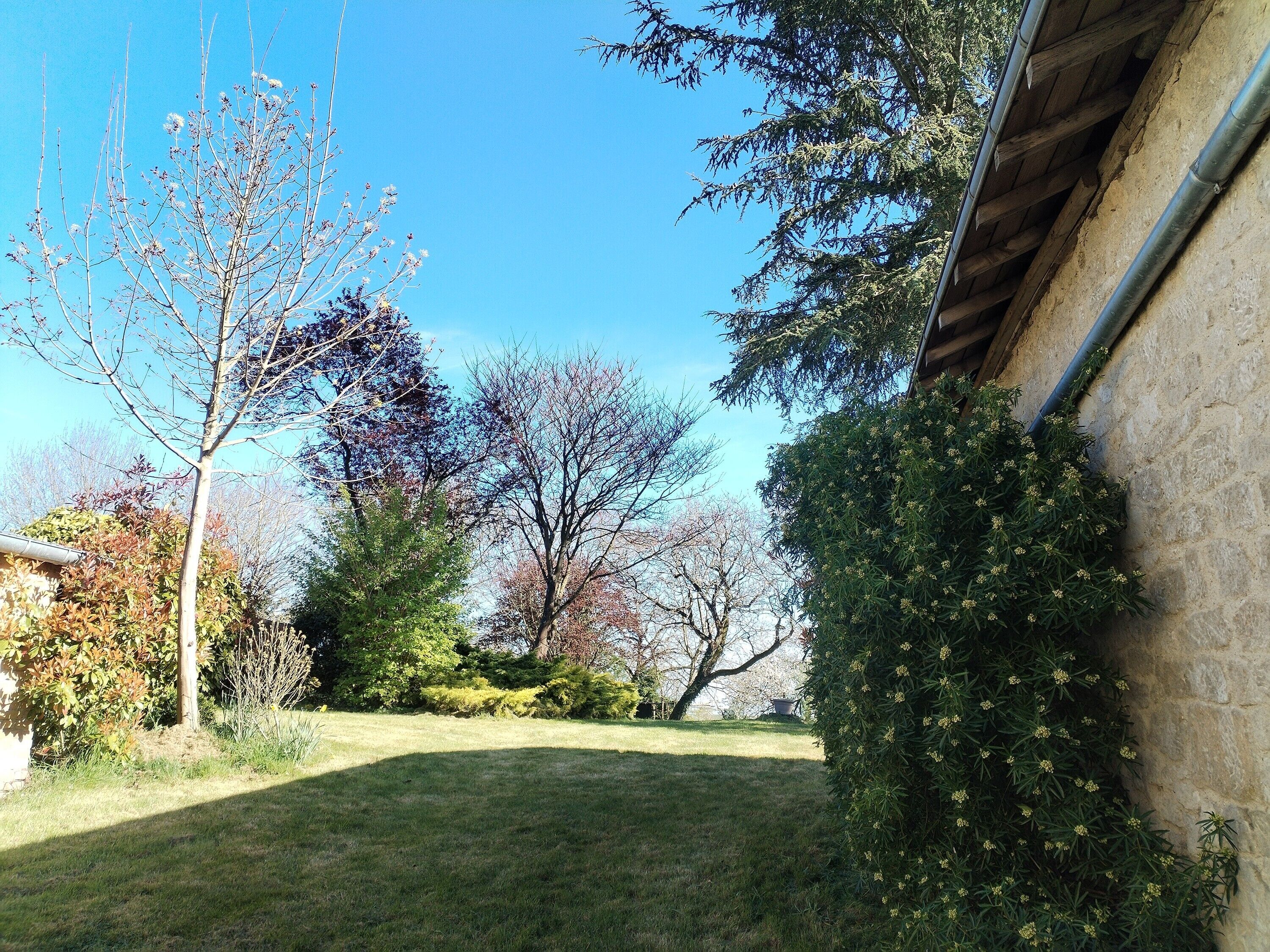 Áreas de la propiedad