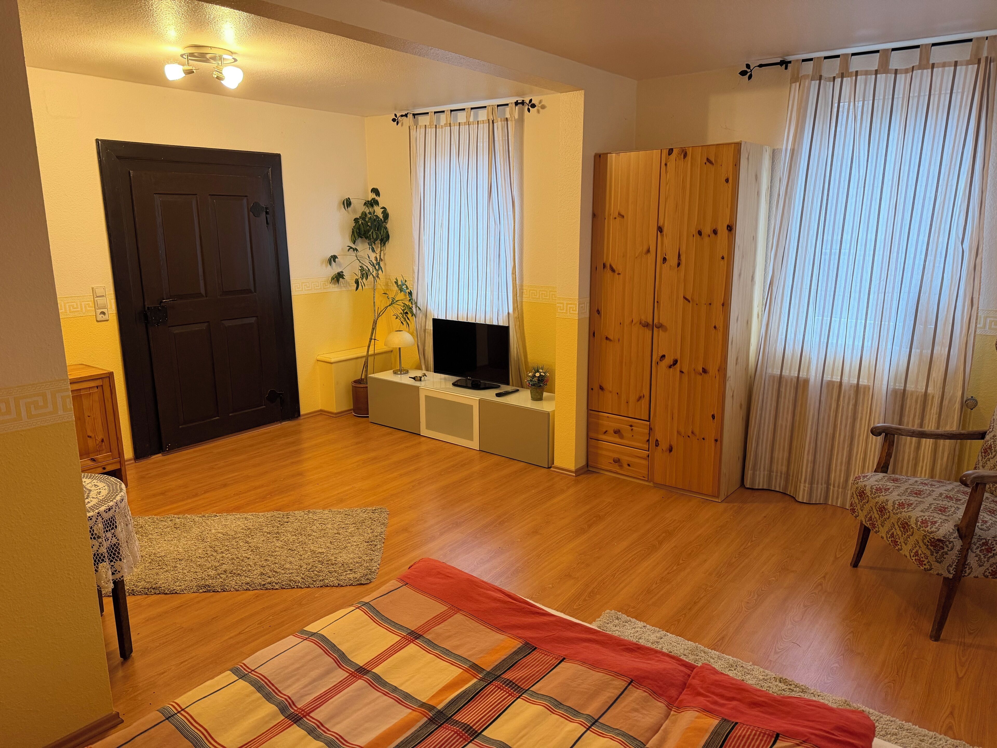 Ein Zimmer mit Holzboden, Fernseher, Pflanze, Kleiderschrank und Stuhl.