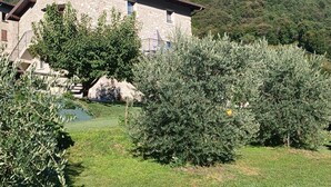 A stone building with a sloped roof, surrounded by olive trees and a hillside. - Promotion - two-room apartment with private terrace Wormwood (Cadignano)