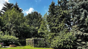 A grassy outdoor area with trees and a wooden structure. - Cozy 2-bedroom apartment in beautiful Ewing Township with AC (Ewing Township)