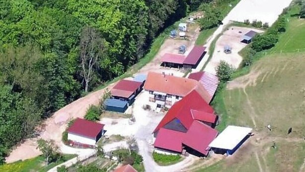 Vista aerea di una zona residenziale con diverse case, ciascuna con tetto rosso, circondate dal verde e da una strada sterrata.
