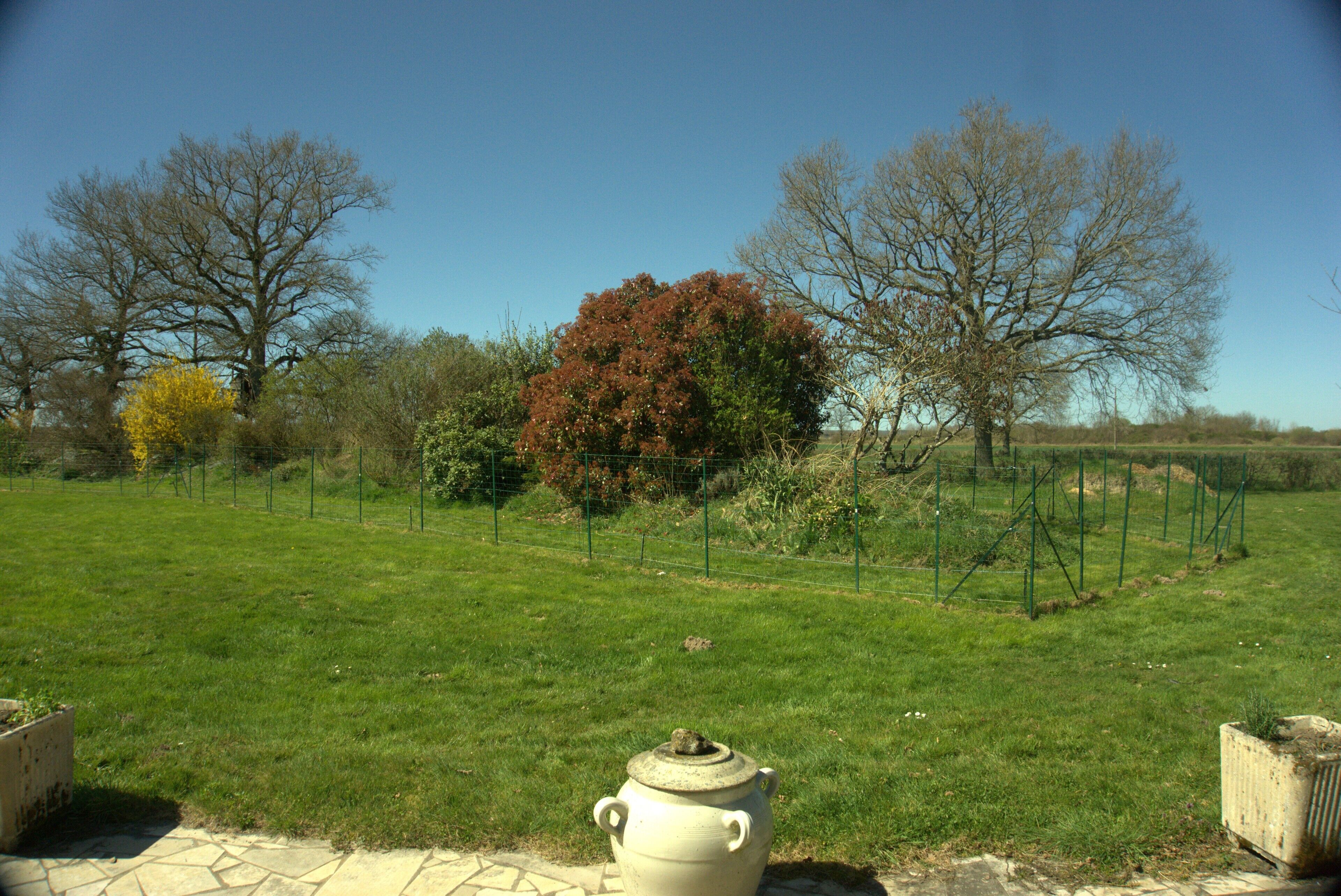 A grassy outdoor area with a white pot in the foreground, surrounded by trees and a green fence.