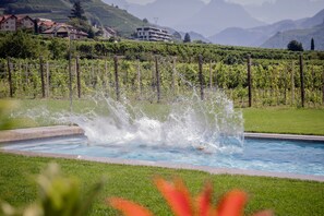 Pool - Trianglhof Apartment 'Rentsch' with Stunning Mountain View and Private Garden (Bolzano)