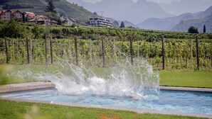 Ein Schwimmbecken mit spritzendem Wasser, umgeben von einer Rasenfläche und Weinreben.