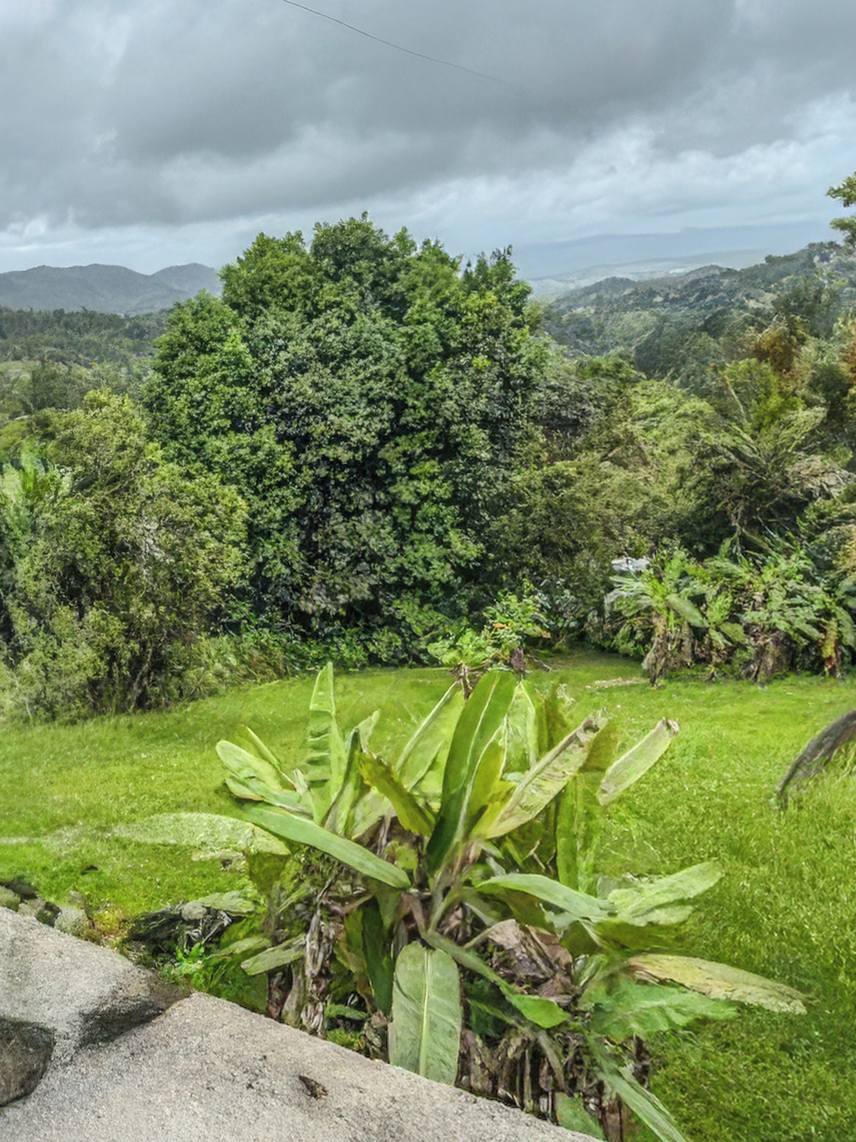 House, Garden View | Property grounds