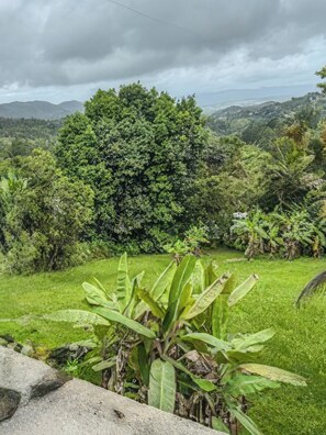 Nhà, quang cảnh vườn | Khuôn viên nơi lưu trú