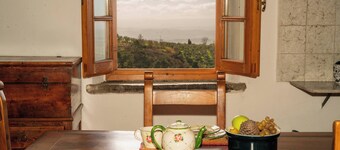 Period residence Villa "Il Leccio" Vinci