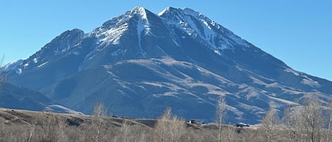 منوع