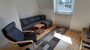 TV, video games, table tennis