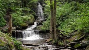 Una cascata naturale in una zona boschiva.