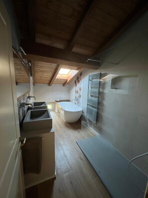 Shower, hair dryer, bidet, towels