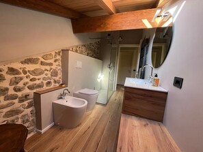 Shower, hair dryer, bidet, towels