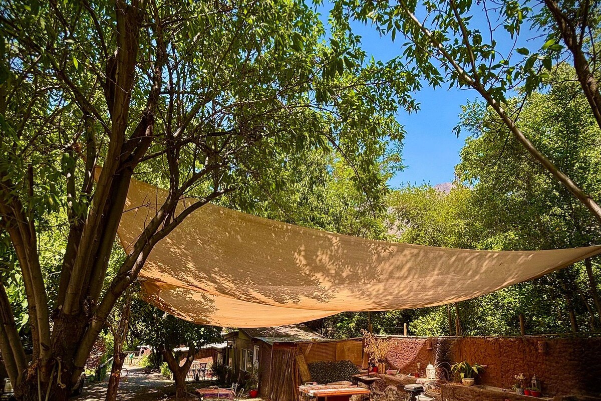 A hammock under a shade sail, outdoor furniture, and a rustic building in a garden setting.