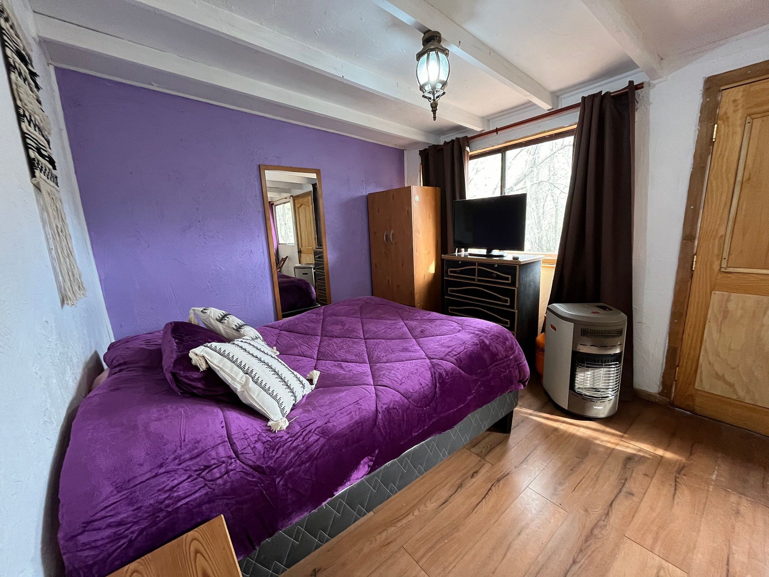 A bedroom with a bed, a dresser, a television, and a heater.
