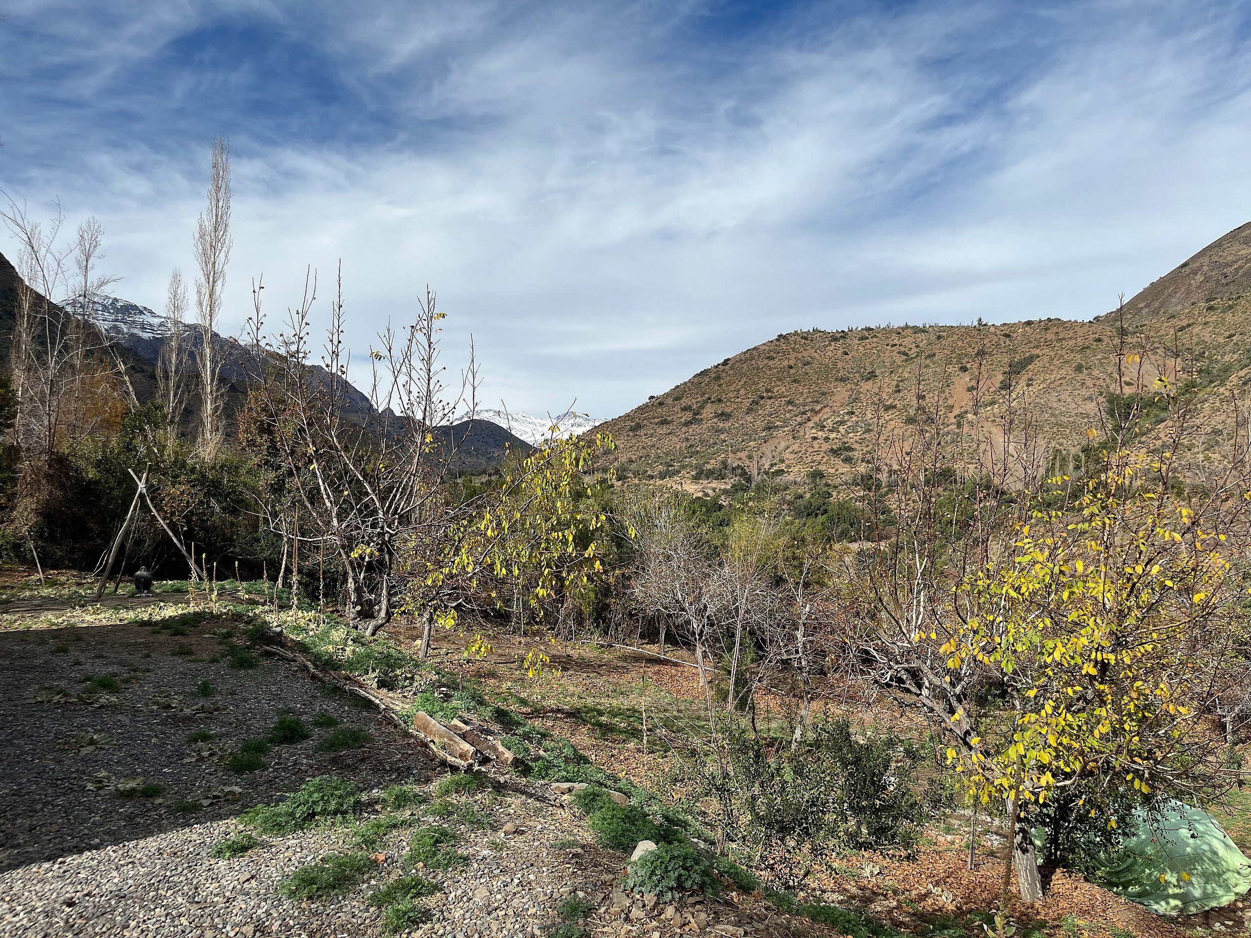 Un paisaje montañoso con vegetación escasa y cielo despejado.