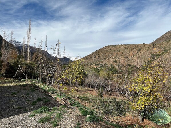 A mountainous landscape with sparse vegetation and a clear sky.
