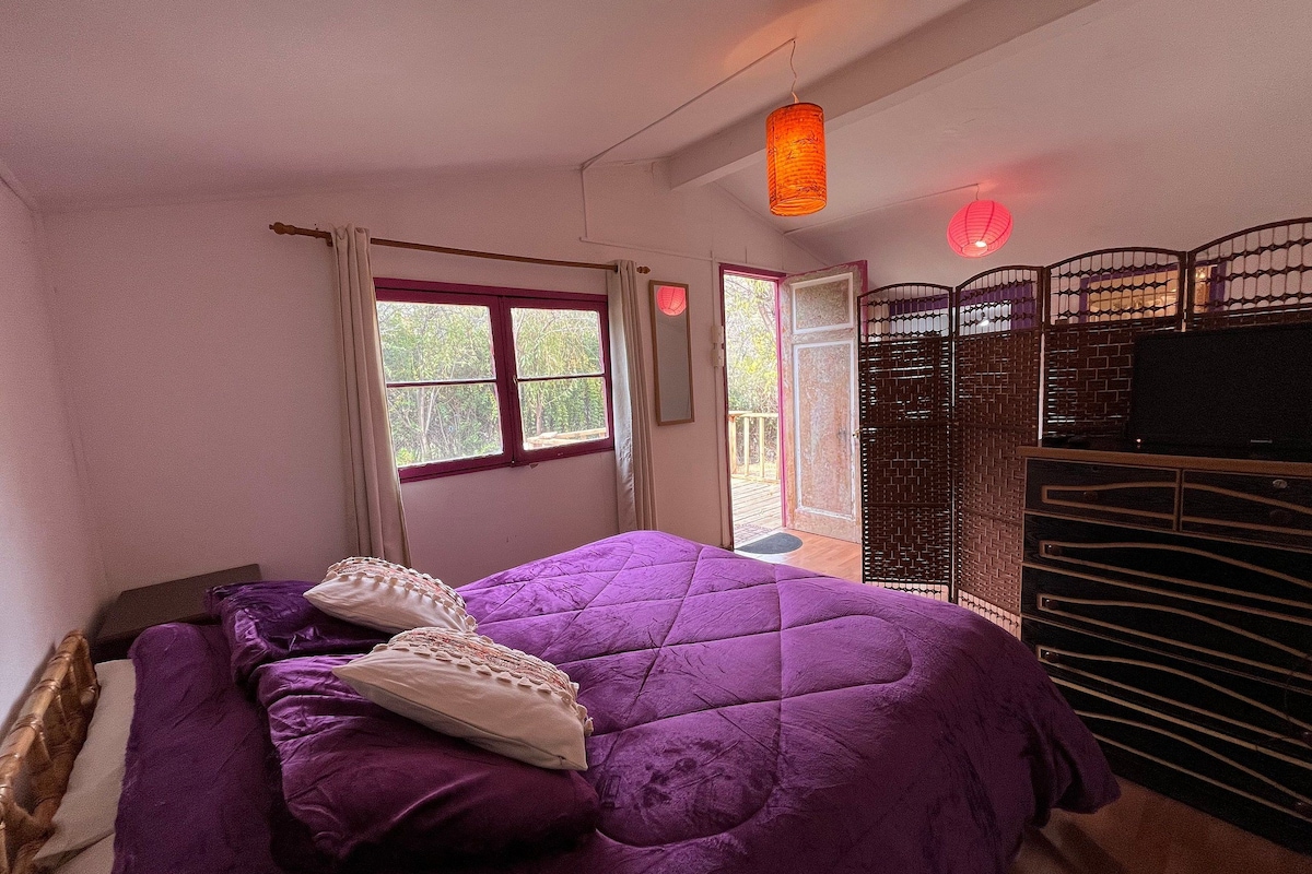 Una habitación con una cama, una ventana, una puerta y un televisor sobre un pedestal.