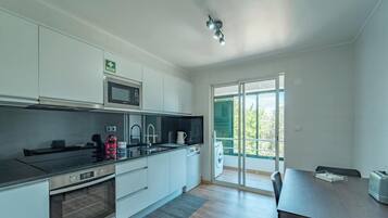 Comfort Apartment, Balcony, City View | Private kitchen