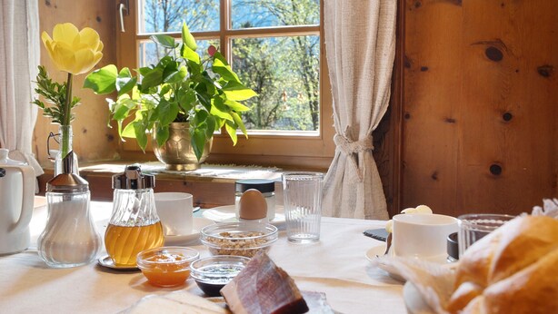 Une table de petit-déjeuner avec divers aliments, un vase contenant une fleur jaune et une fenêtre donnant sur des arbres.