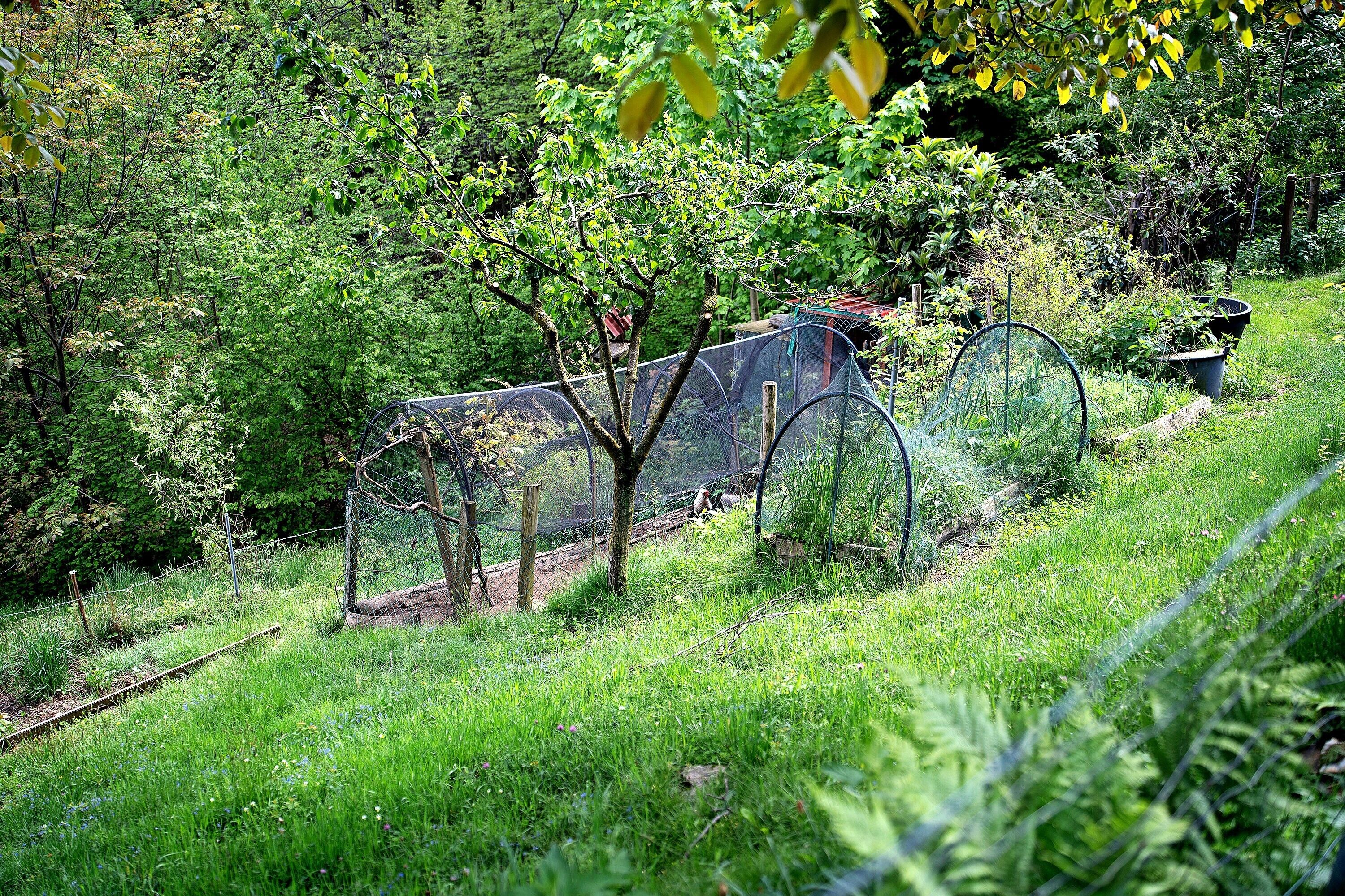 Parco della struttura